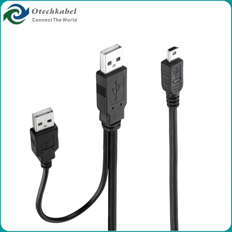 C&acirc;ble double mini-USB